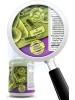 Probiotic Supplement by Just Potent | 35 Billion CFUs | Gastrointestinal & Immune Health